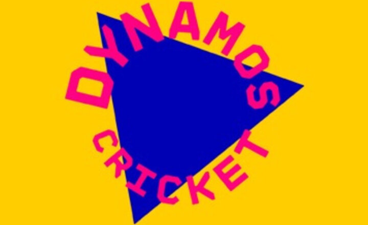 Image of Year 5/6 Dynamos Cricket